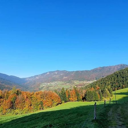 Villa House Pucnk-Beautiful Countryside Zelezniki Esterno foto