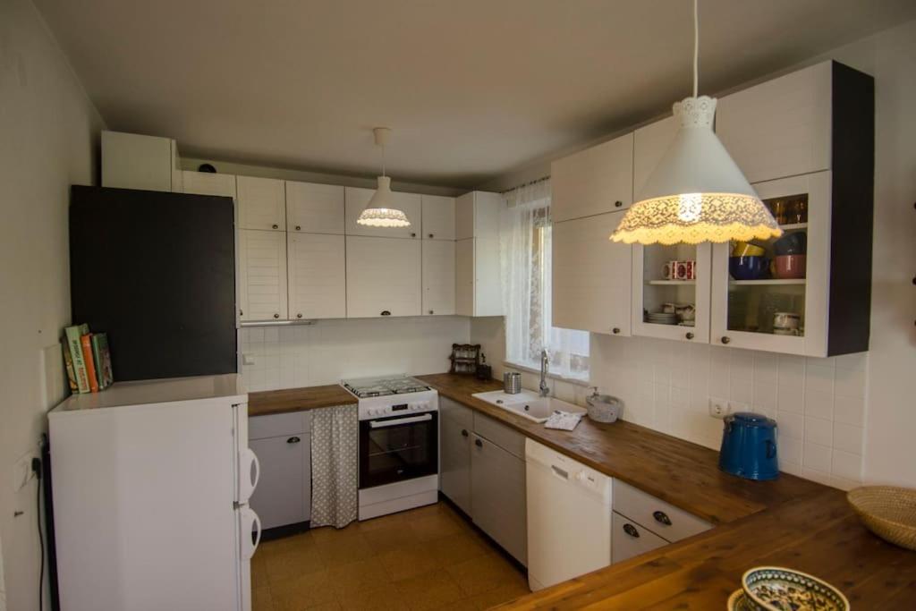 Villa House Pucnk-Beautiful Countryside Zelezniki Esterno foto