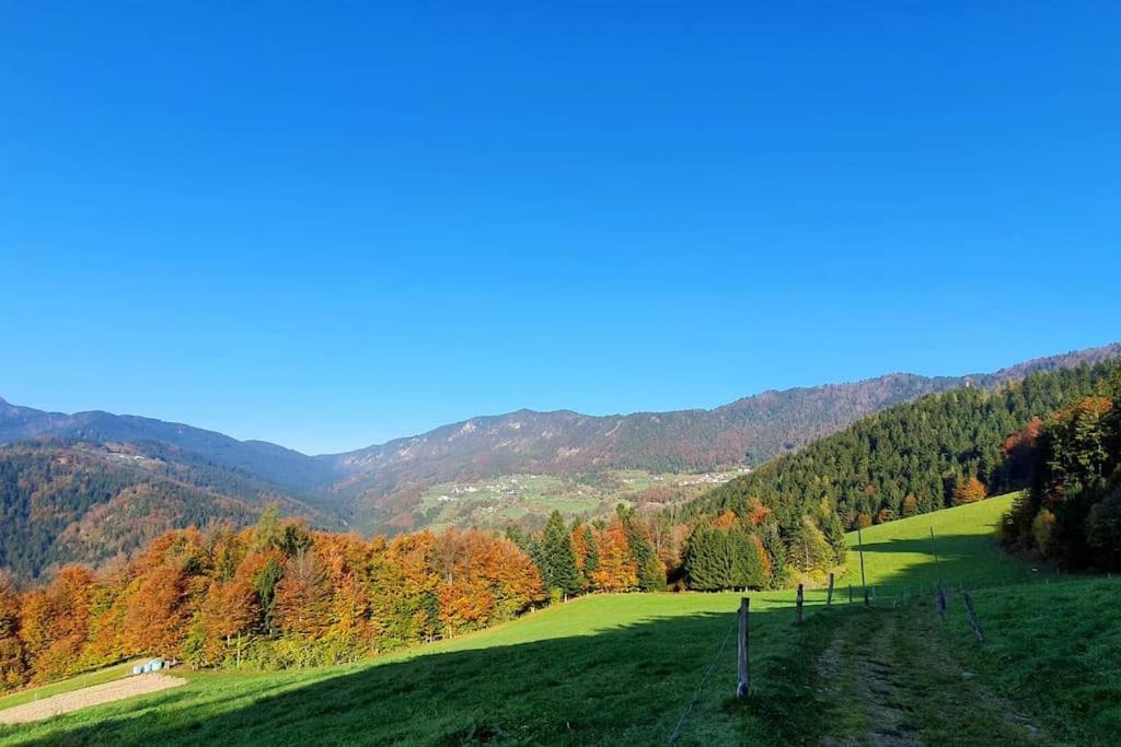 Villa House Pucnk-Beautiful Countryside Zelezniki Esterno foto