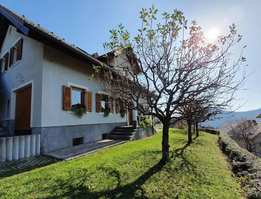 Villa House Pucnk-Beautiful Countryside Zelezniki Esterno foto
