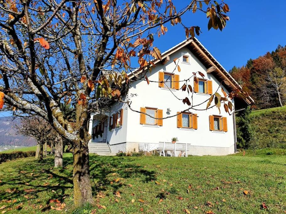 Villa House Pucnk-Beautiful Countryside Zelezniki Esterno foto