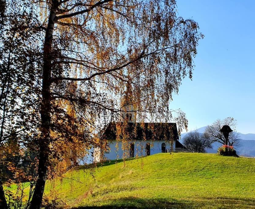 Villa House Pucnk-Beautiful Countryside Zelezniki Esterno foto