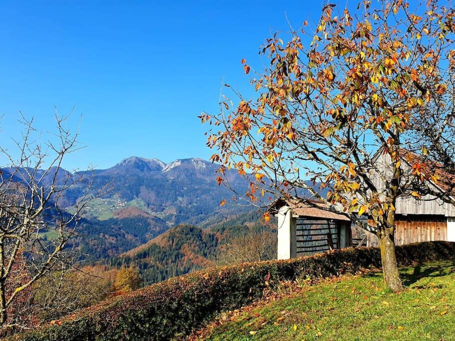 Villa House Pucnk-Beautiful Countryside Zelezniki Esterno foto